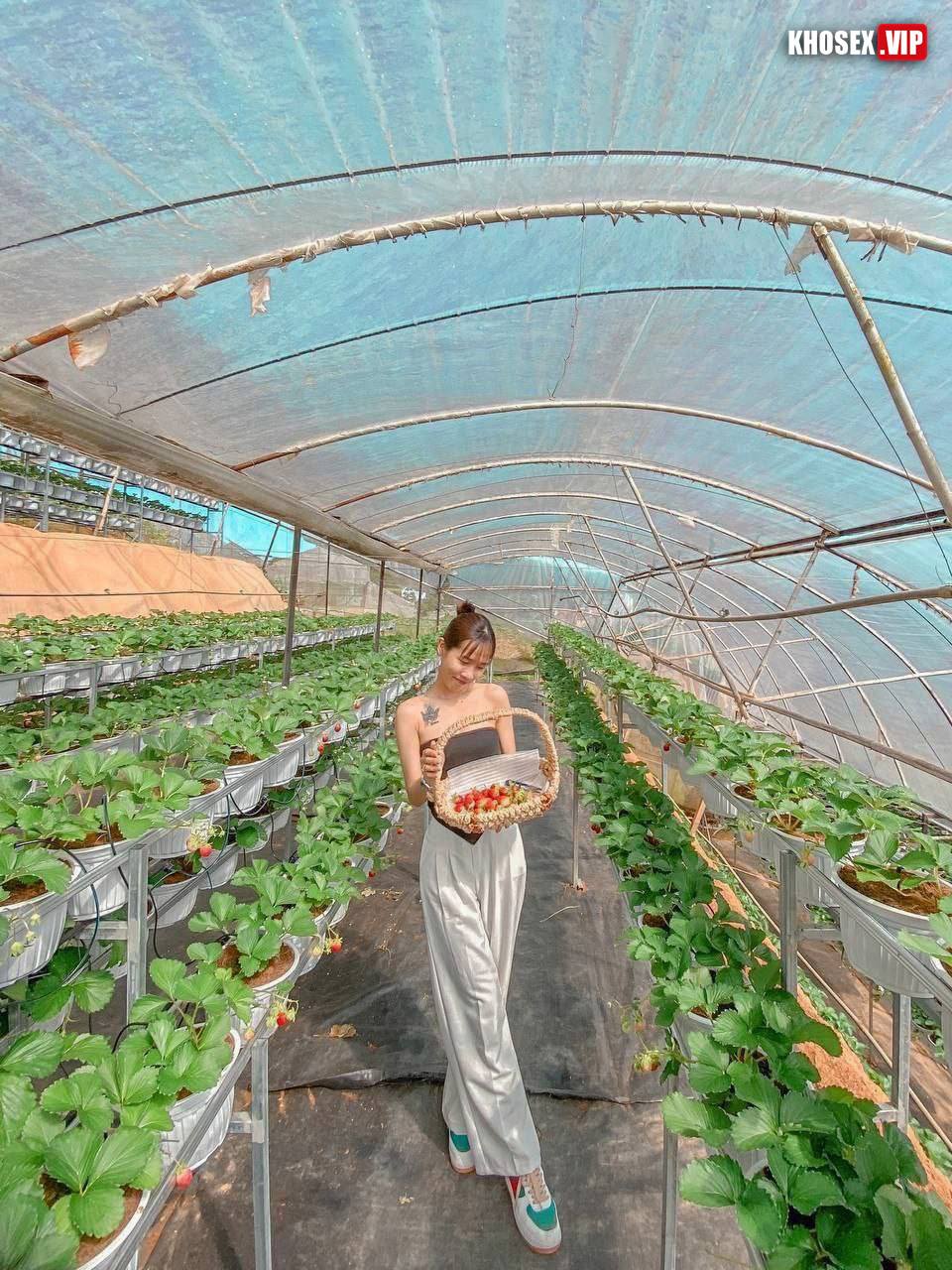 Lộ clip sex cặp vợ chồng đụ khẩu dâm trên ghế tình yêu - Hình 05